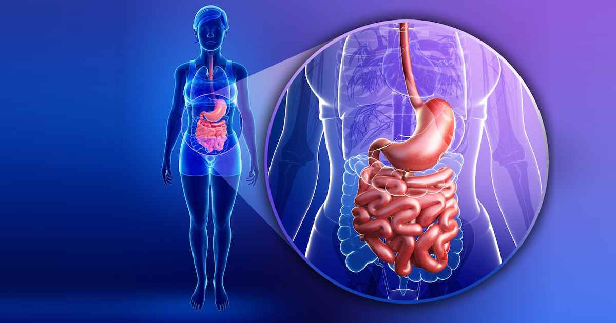 Ayurvedic Solutions for a Healthy Digestive System