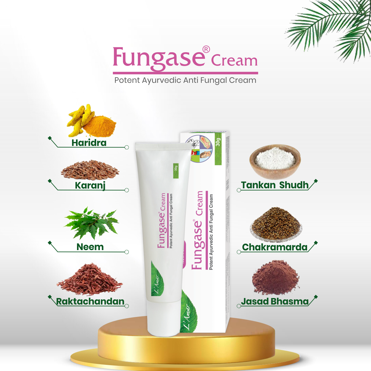 FUNGASE CREAM