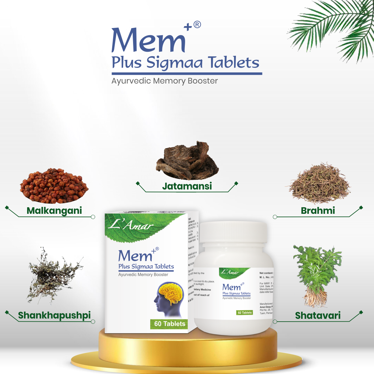 Mem+ Plus Sigma Tablets