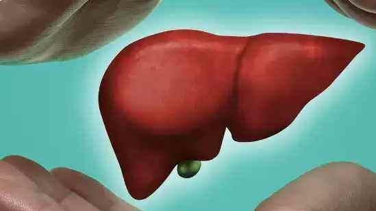 Why is liver Health is so important for us?