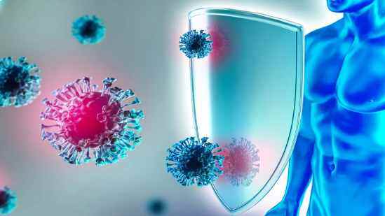 How to improve the immune system or build a healthy immunity with Ayurveda?