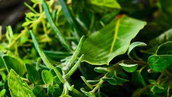 सर्वश्रेष्ठ संयुक्त जड़ी-बूटियाँ: जोड़ों के स्वास्थ्य के लिए शीर्ष दर्द निवारक उत्पाद