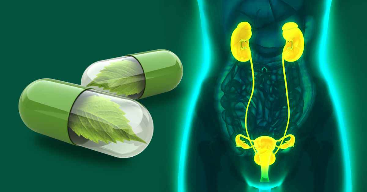 Ayurvedic Syrup for Kidney Stones: Harnessing the Power of Traditional Medicine