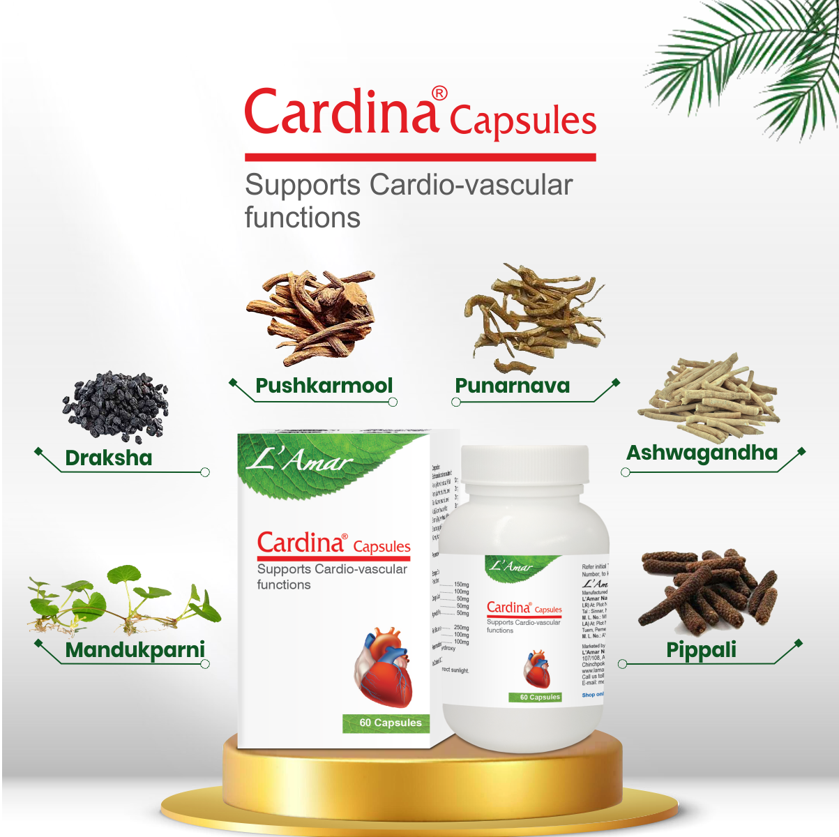 CARDINA CAPSULES