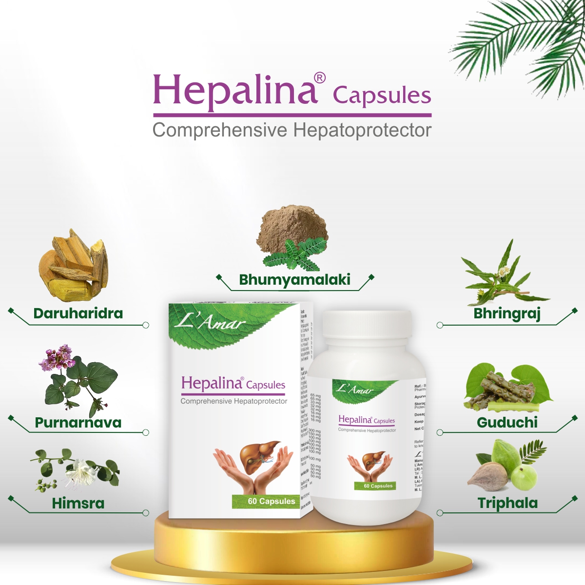 Liver Care Capsules by Lamar World