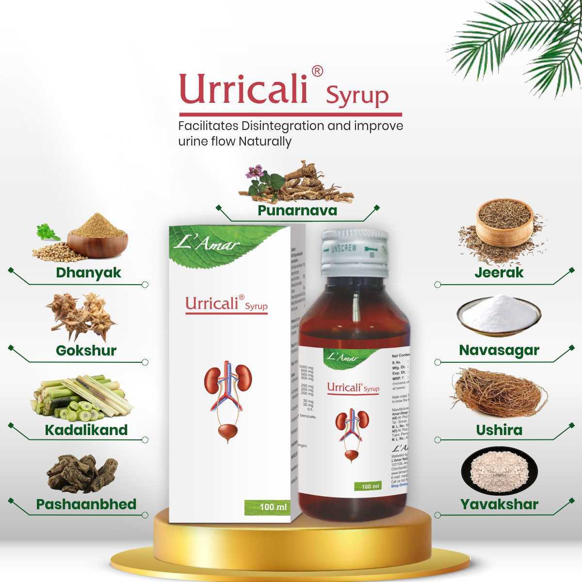 Buy URRICALI SYRUP 100ML for Kidney Stone Removal Syrup